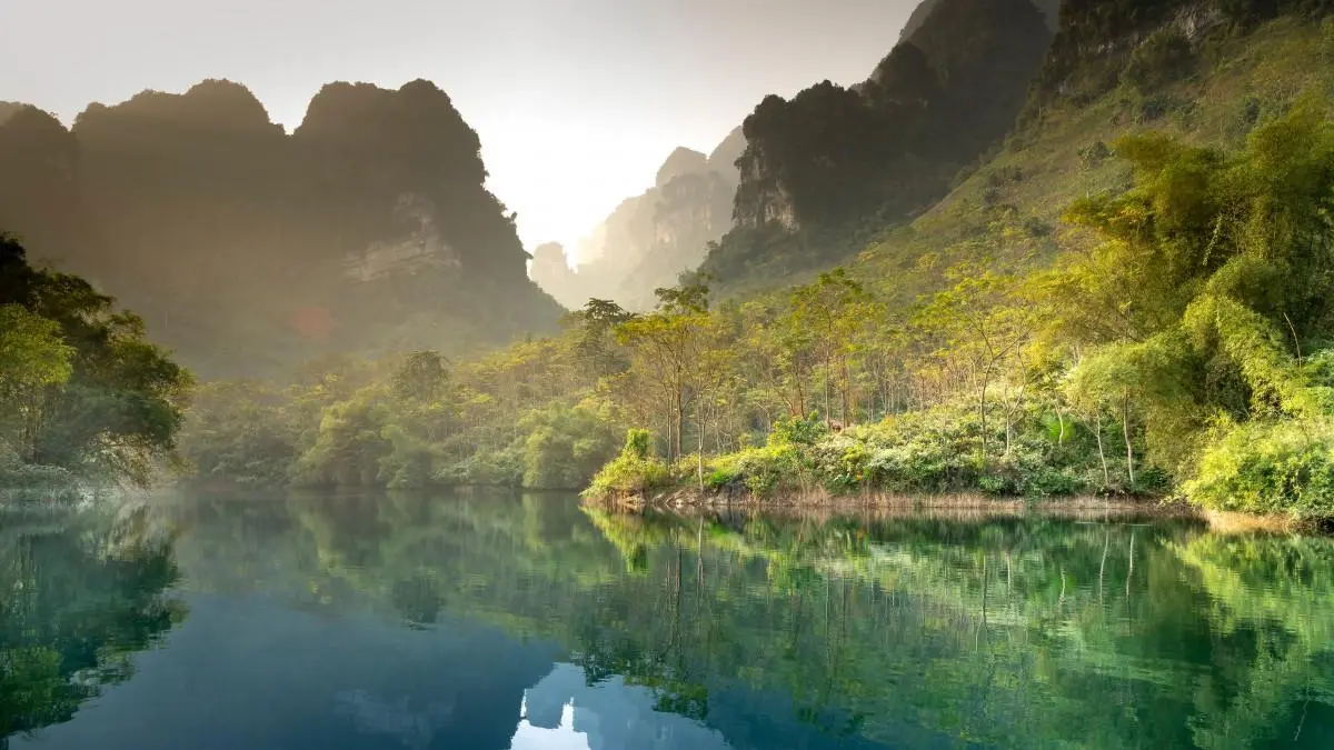 先进高性能可靠性