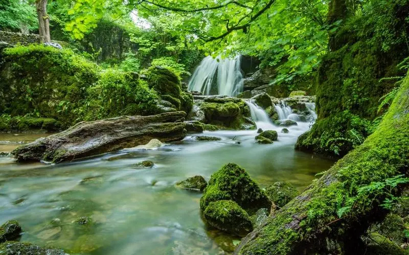 电子高效高端